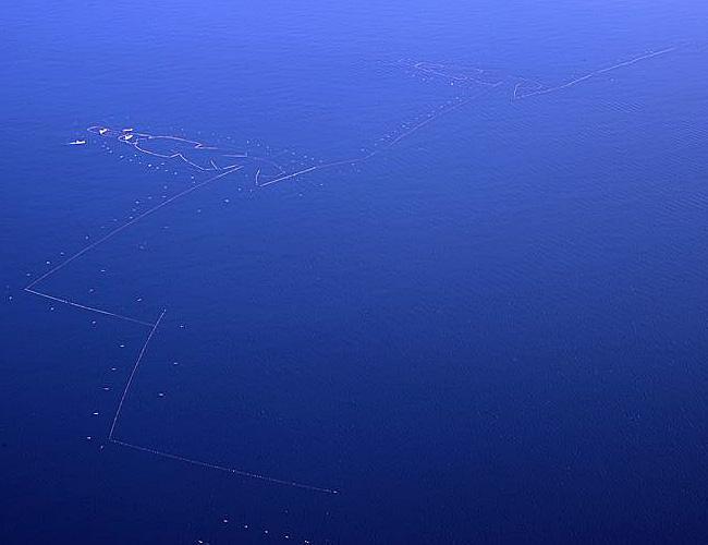 写真：上空から撮影した七尾市沿岸部（富山湾）に敷設された大型定置網